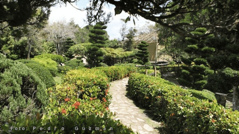 A stone pathway through a well-manicured garden with various shrubs and trees. 2