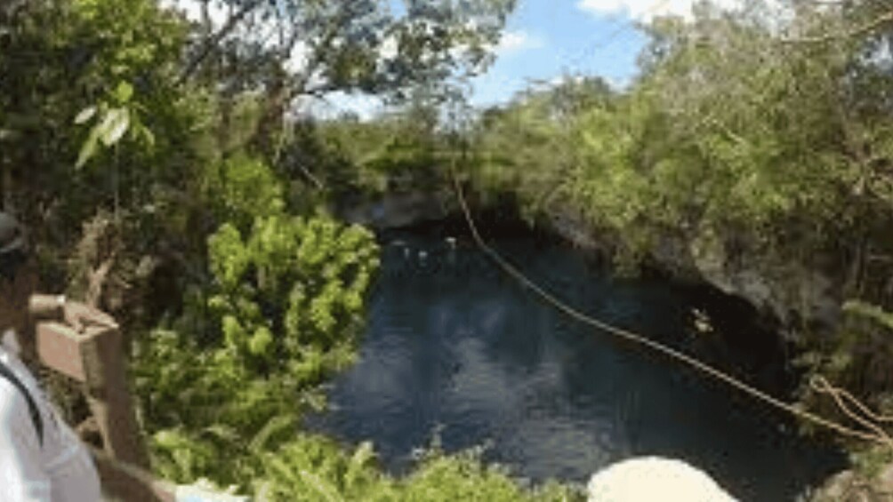 A river surrounded by dense foliage and a bridge. 4