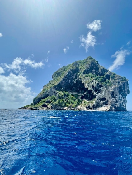 A large, rocky island with lush greenery and a clear blue sky. 1