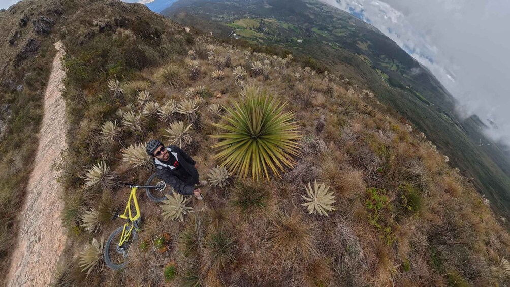A person sitting on a mountain with a bicycle, surrounded by desert vegetation. 3