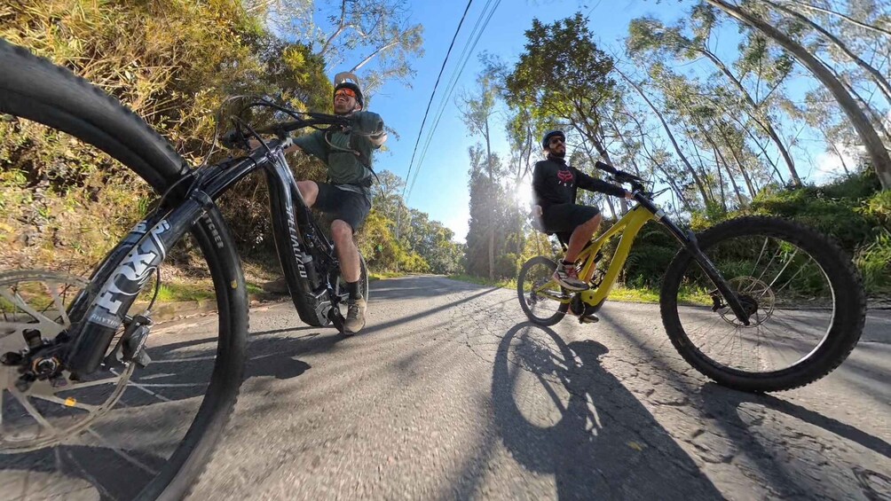 Two cyclists on a paved road with trees and power lines in the background. 5