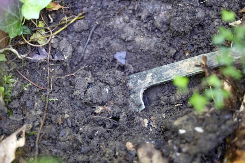A metal tool partially buried in soil with leaves and twigs around. 3