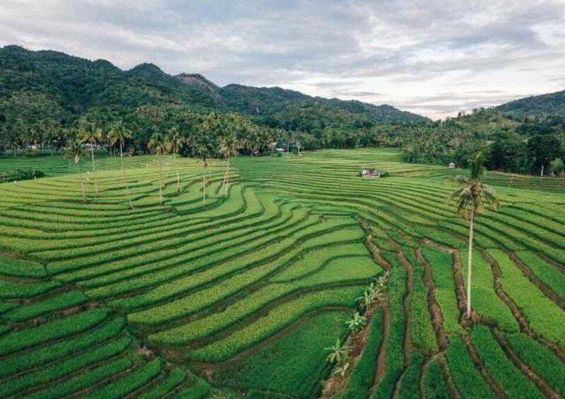 Picture 1 for Activity Bohol: Can-Umantad Falls, Rice Terraces, and Beach Tour 2