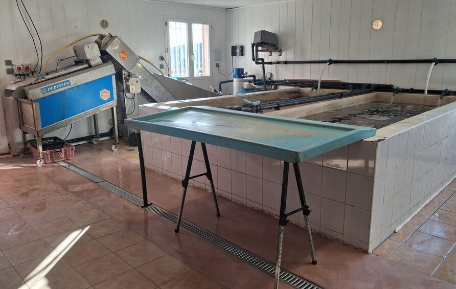 A Debysser machine, a large blue table, and a water channel in a room with tiled walls and floor. 3