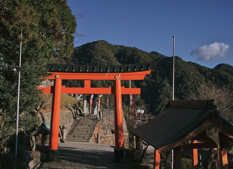 Picture 17 for Activity Nachi Falls&Wakayama Privat Highlights&English Speakn Driver 2