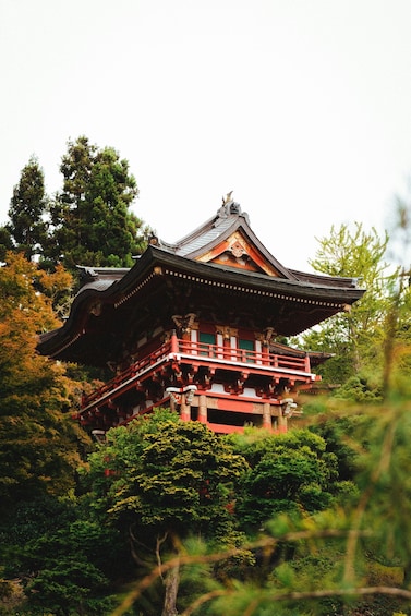 A traditional Japanese temple with a prominent red and black roof, surrounded by lush greenery. 5