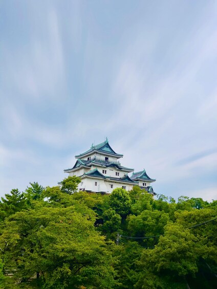 Picture 18 for Activity Nachi Falls&Wakayama Privat Highlights&English Speakn Driver 2
