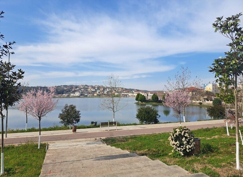 A lakeside walkway with cherry blossoms, a bench, and a distant town. 3