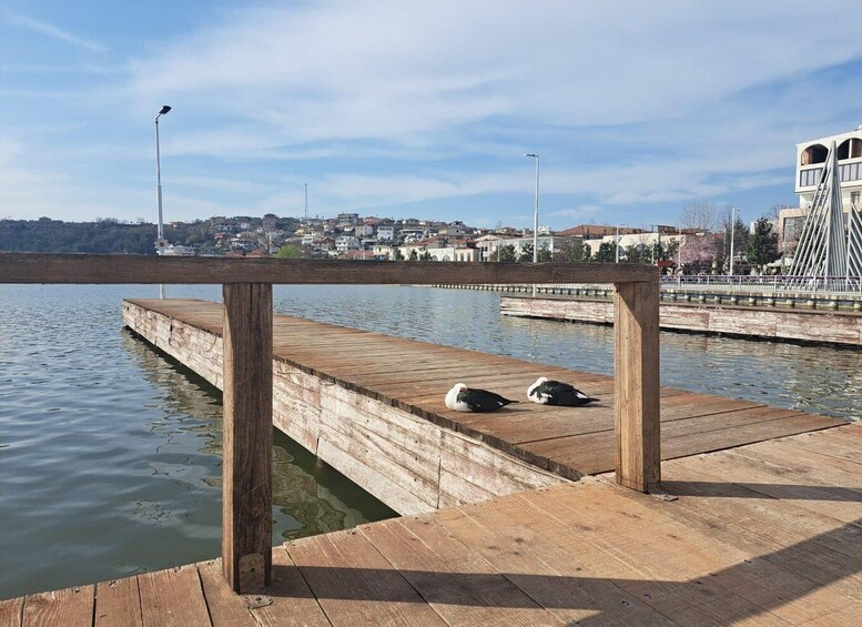 A wooden pier extending into calm water, with two birds resting on it, and a cityscape in the background. 2