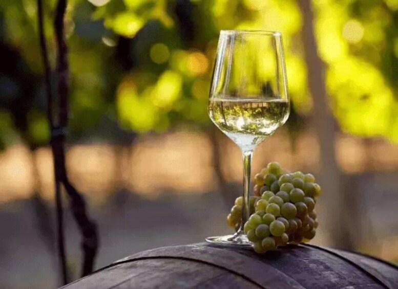 A glass of white wine and a bunch of green grapes on a barrel. 2