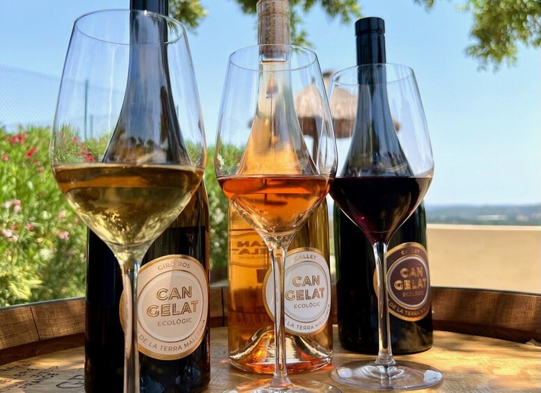 Three wine bottles and glasses on a table with a scenic view. 4