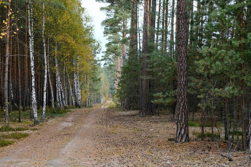 Picture 3 for Activity Põlva: Horseback Adventure and Ant Colony Discovery 2