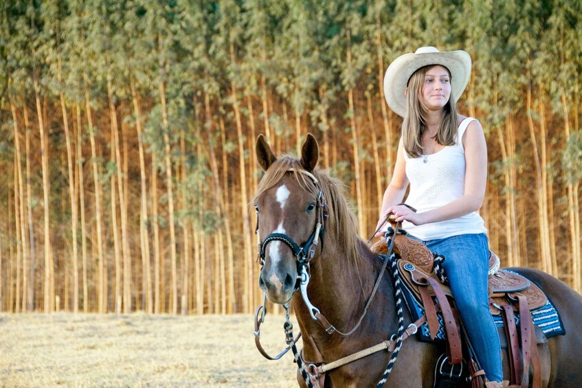 Põlva: Horseback Adventure and Ant Colony Discovery 1