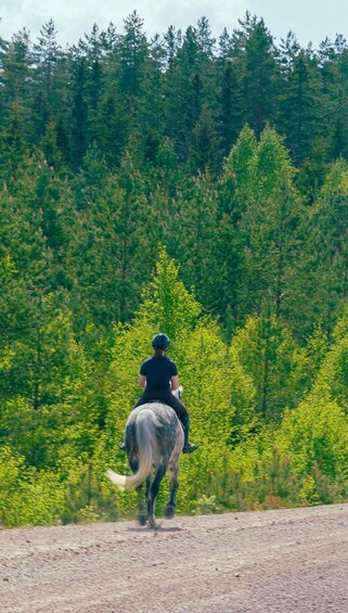 Picture 1 for Activity Põlva: Horseback Adventure and Ant Colony Discovery 3