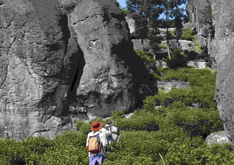 A hiker with a backpack on a rocky trail surrounded by greenery. 1