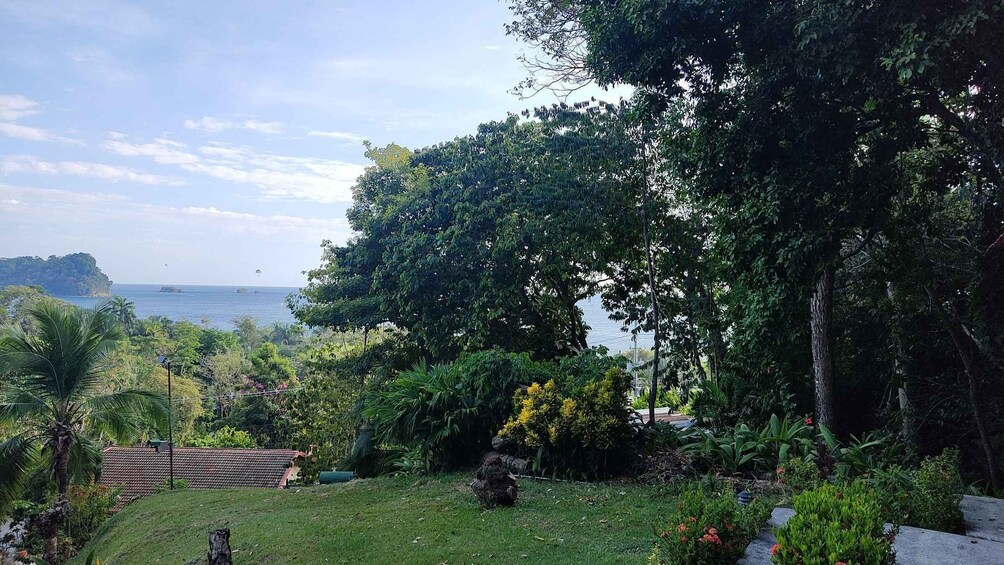 A lush garden with a view of the sea and a distant island. 2