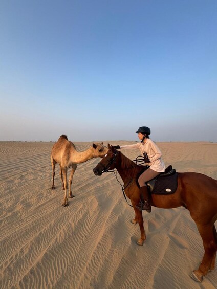 Picture 1 for Activity Dubai: Horse Riding Experience with Ride-Thru Açaí Stop 2