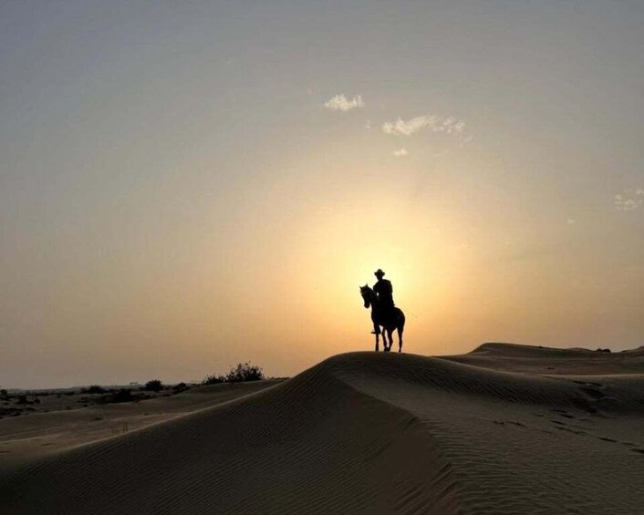 Picture 4 for Activity Dubai: Horse Riding Experience with Ride-Thru Açaí Stop 4