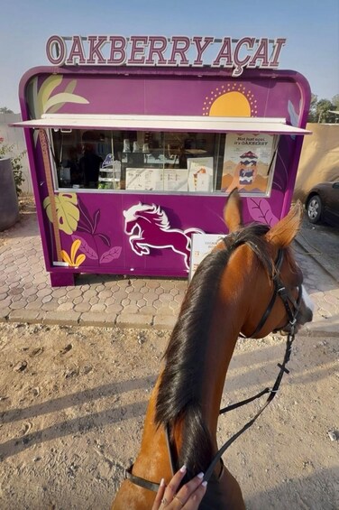 Dubai: Horse Riding Experience with Ride-Thru Açaí Stop 1