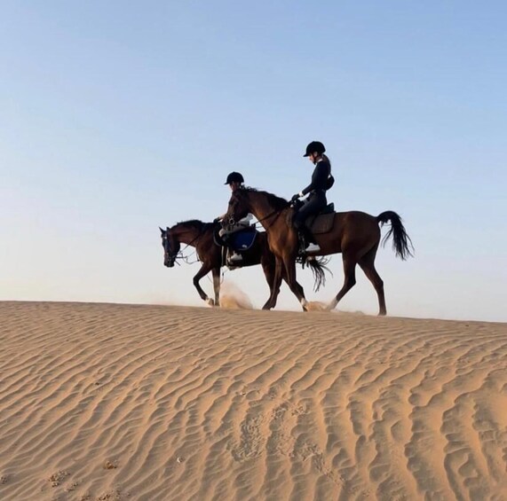 Picture 3 for Activity Dubai: Horse Riding Experience with Ride-Thru Açaí Stop 5