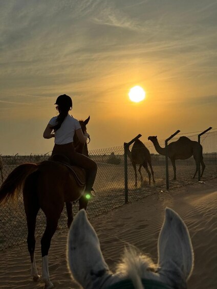 Picture 2 for Activity Dubai: Horse Riding Experience with Ride-Thru Açaí Stop 3