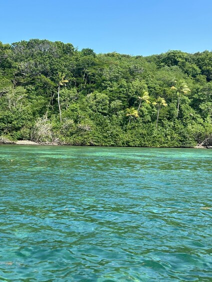 A clear turquoise sea with a forested coastline. 1
