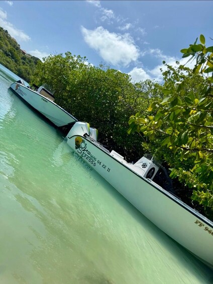 A boat docked near a mangrove forest with clear turquoise water. 3