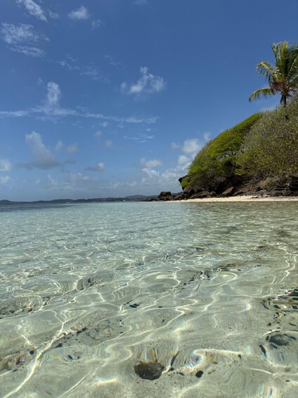 Clear tropical waters, a sandy beach, and a palm tree on a rocky outcrop. 2