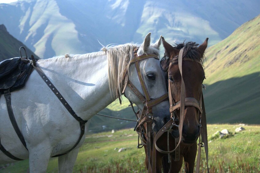 Picture 2 for Activity Sörenberg: Scenic Alpine Horse Riding Experience 2
