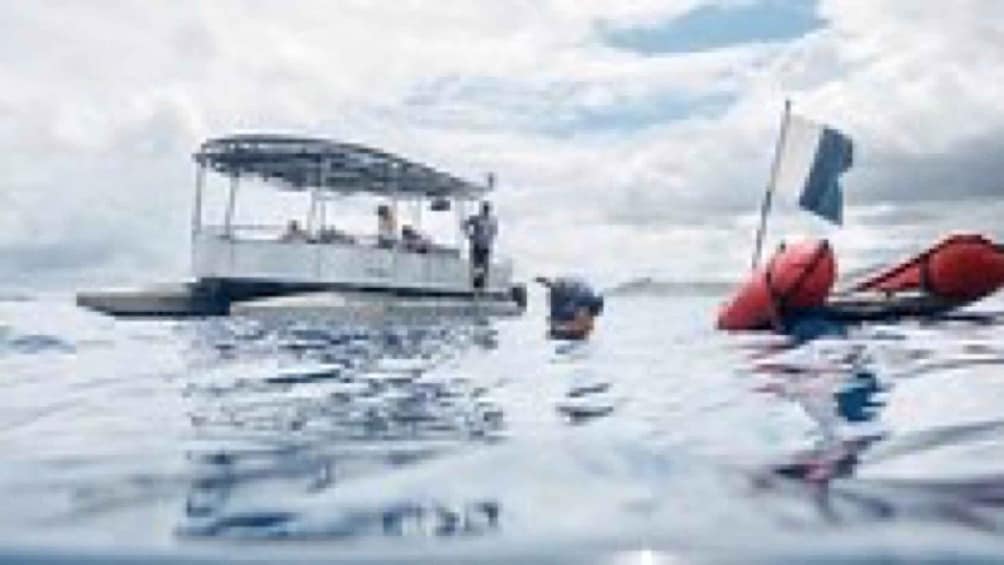 A boat with a flag, another boat with a flag, and a person swimming. 2
