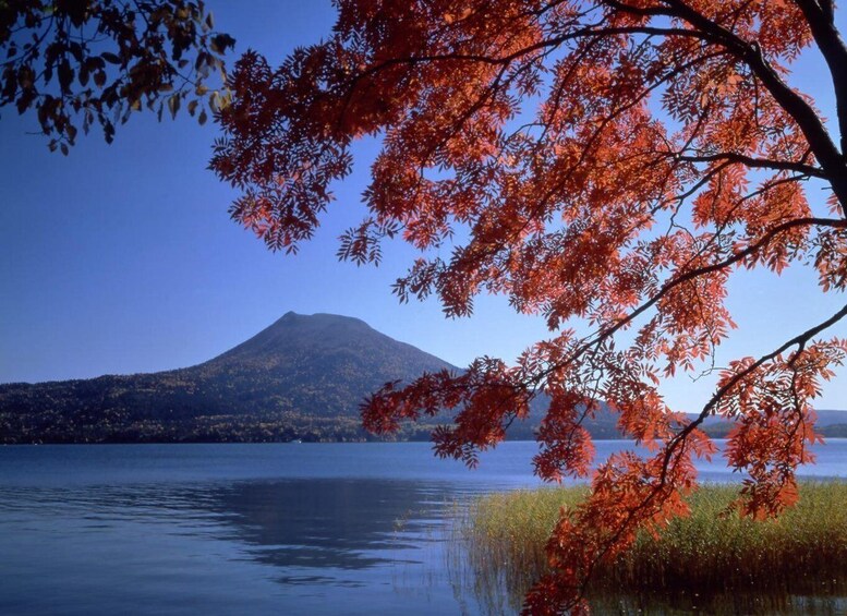 Picture 3 for Activity Shiretoko: Whales, Wildlife & Epic Landscapes 3-Day Tour 2
