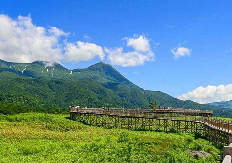 Picture 4 for Activity Shiretoko: Whales, Wildlife & Epic Landscapes 3-Day Tour 4