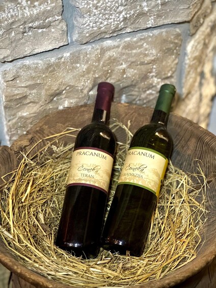 Picture 5 for Activity Brnozi: Authentic Istrian Olive Oil Tour & Local Delicacies 4