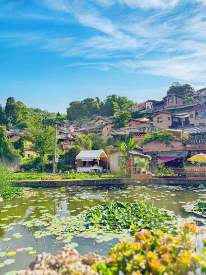 A traditional village with houses, a pond with lily pads, and a clear blue sky. 5