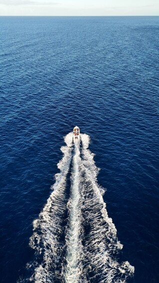 Picture 6 for Activity Unique whale watching experience in Mauritius 2
