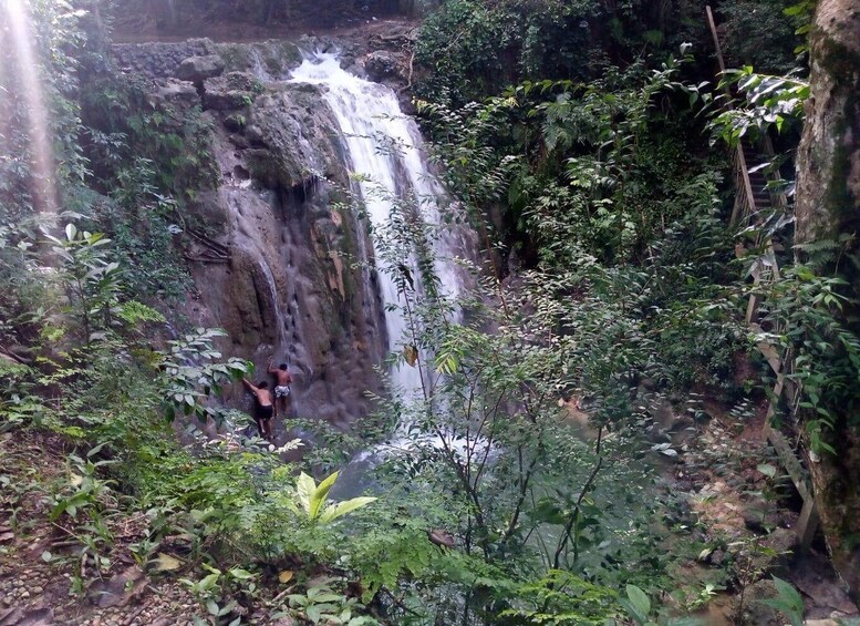 A waterfall in a forested area with dense vegetation and a person climbing the rocks. 3