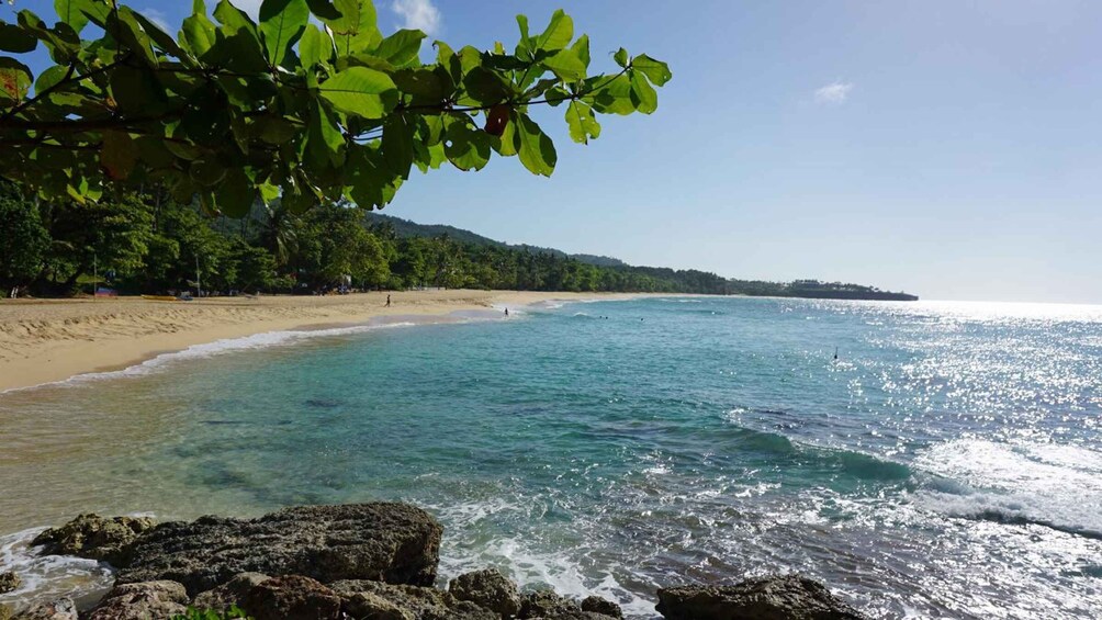A beach with clear turquoise water, sandy shore, and a forested hillside. 1