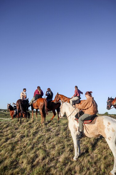 Picture 4 for Activity Toronto: Guided Horseback Trail Ride in the Countryside 5