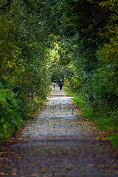 Toronto: Guided Horseback Trail Ride in the Countryside 1