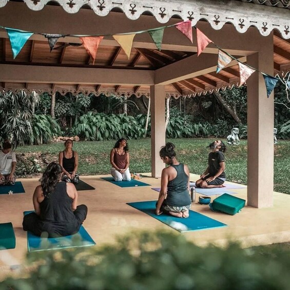 A group of people sitting on yoga mats in an outdoor pavilion with a garden in the background. 3