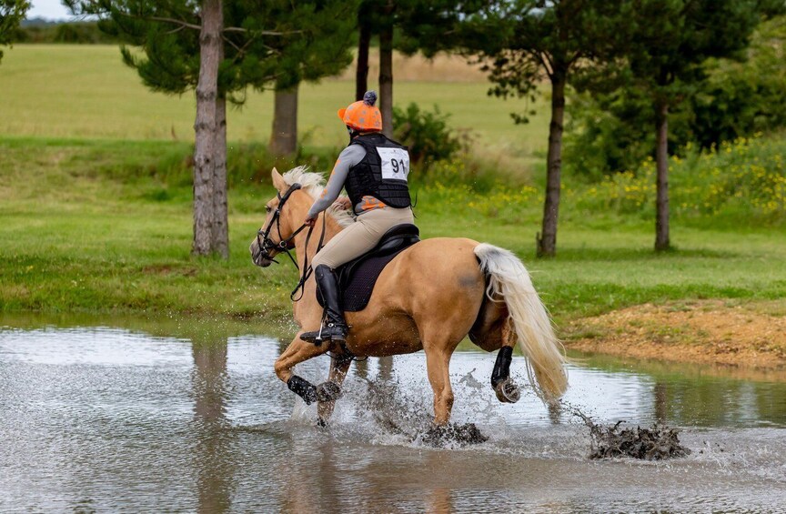 A person riding a horse through a shallow water crossing. 3