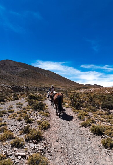 A group of horses and riders on a rocky trail in a desert landscape with sparse vegetation and a mountain in the background. 2