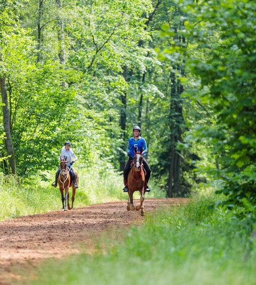 Picture 4 for Activity Peille: Experienced Riders Mountain Trail Horseback Ride 5