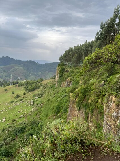 Picture 2 for Activity Addis Ababa: Wild Hyenas, Forest Hike & Sunset Experience 4