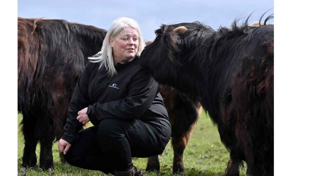 Wagglehill Farm & Delgatie Castle Tour 1