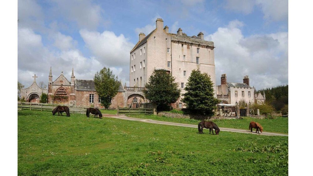 Picture 1 for Activity Wagglehill Farm & Delgatie Castle Tour 3