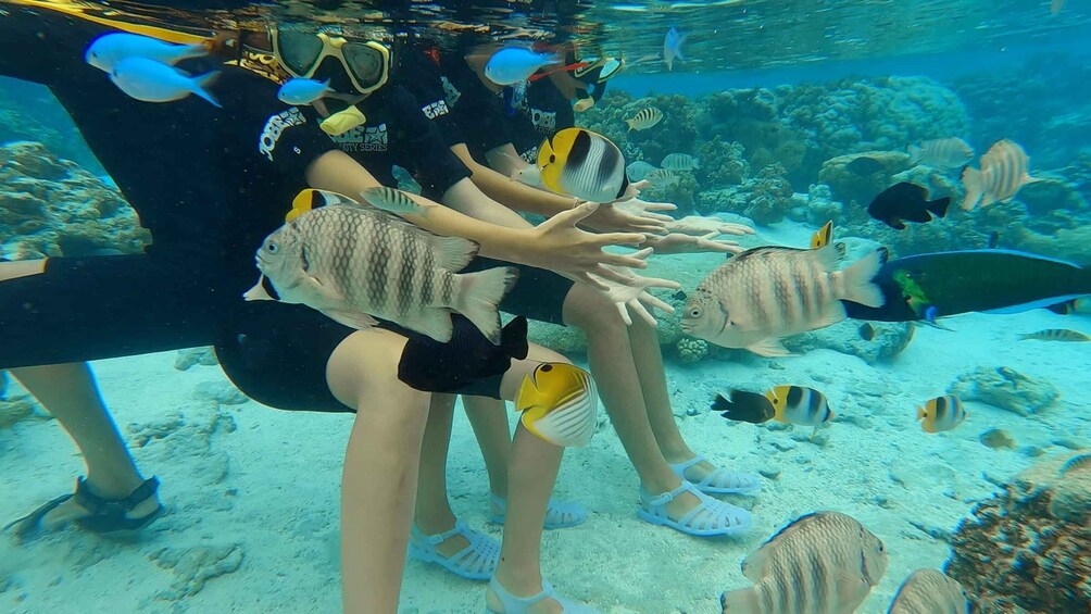 A group of people scuba diving underwater, surrounded by various fish and coral reefs. 2