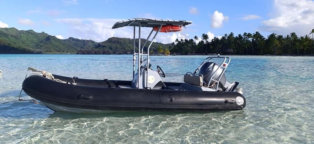 A black inflatable boat with a canopy and a motor on a clear blue water body, surrounded by lush green hills and palm trees. 4