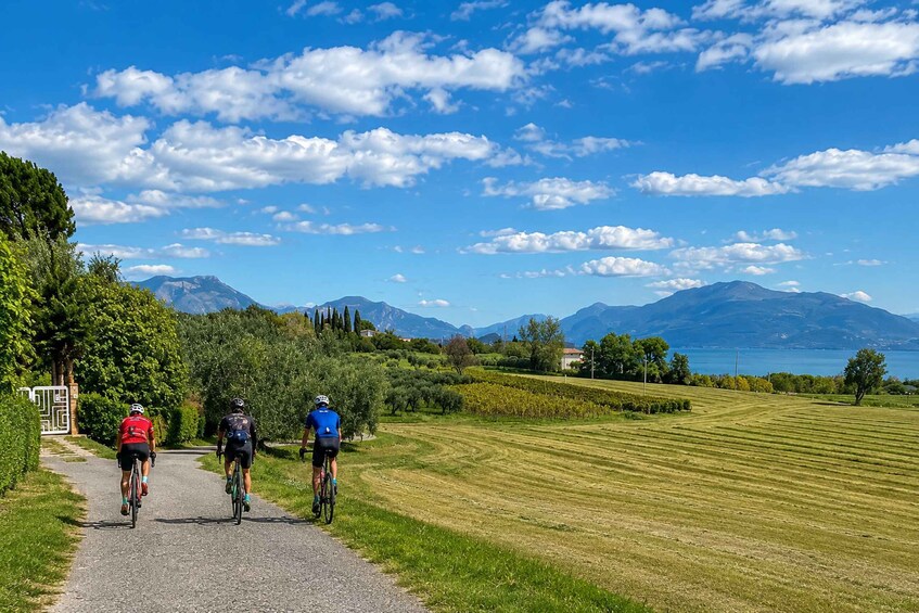 Three cyclists on a paved path with a scenic landscape, including fields, trees, and mountains in the distance. 1