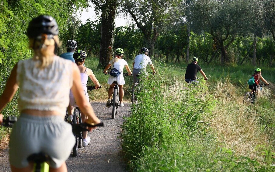 A group of cyclists on a paved path surrounded by greenery. 4